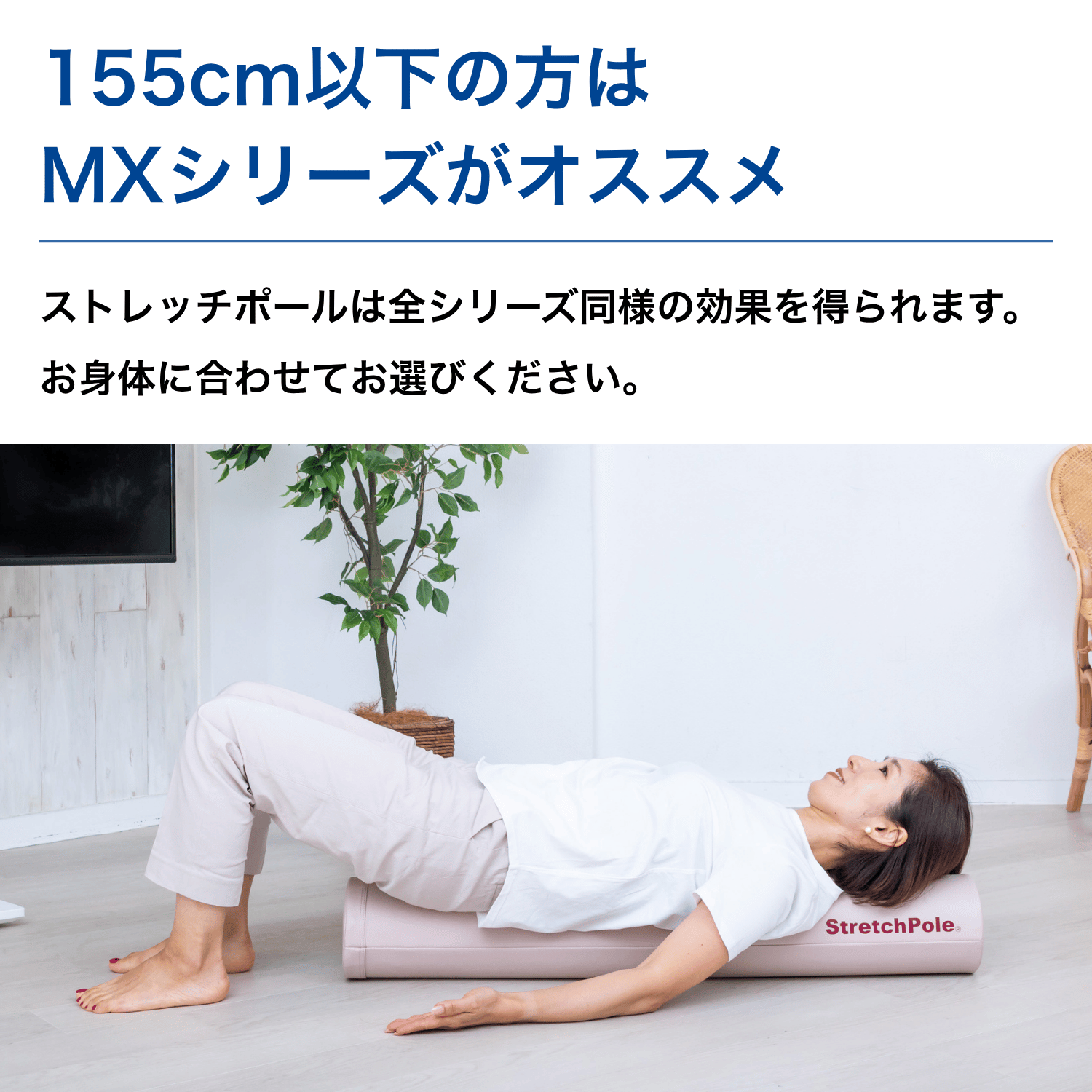 LPN SHOP / ストレッチポールMX(ピンクベージュ)
