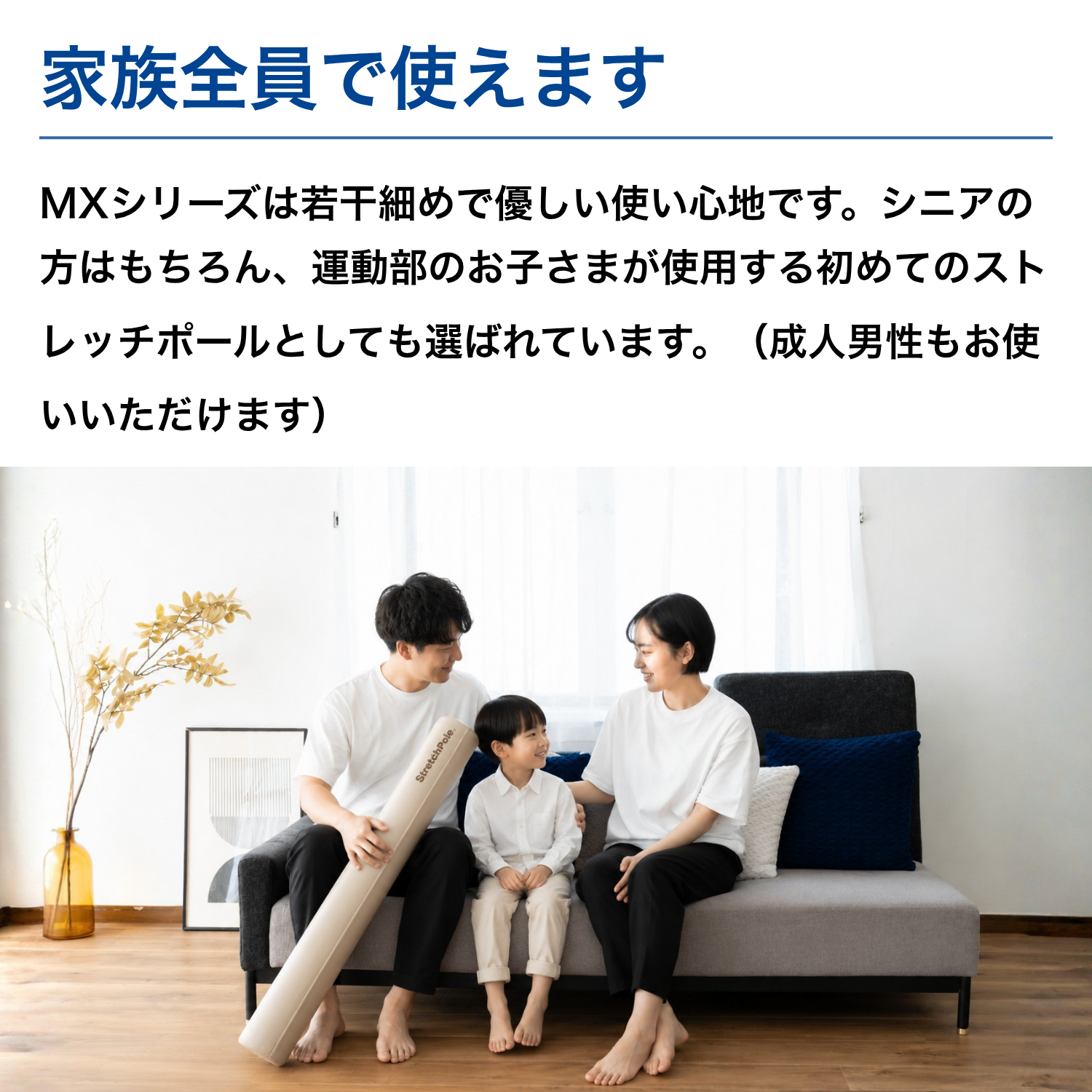 LPN SHOP / ストレッチポールMX(ピンクベージュ)