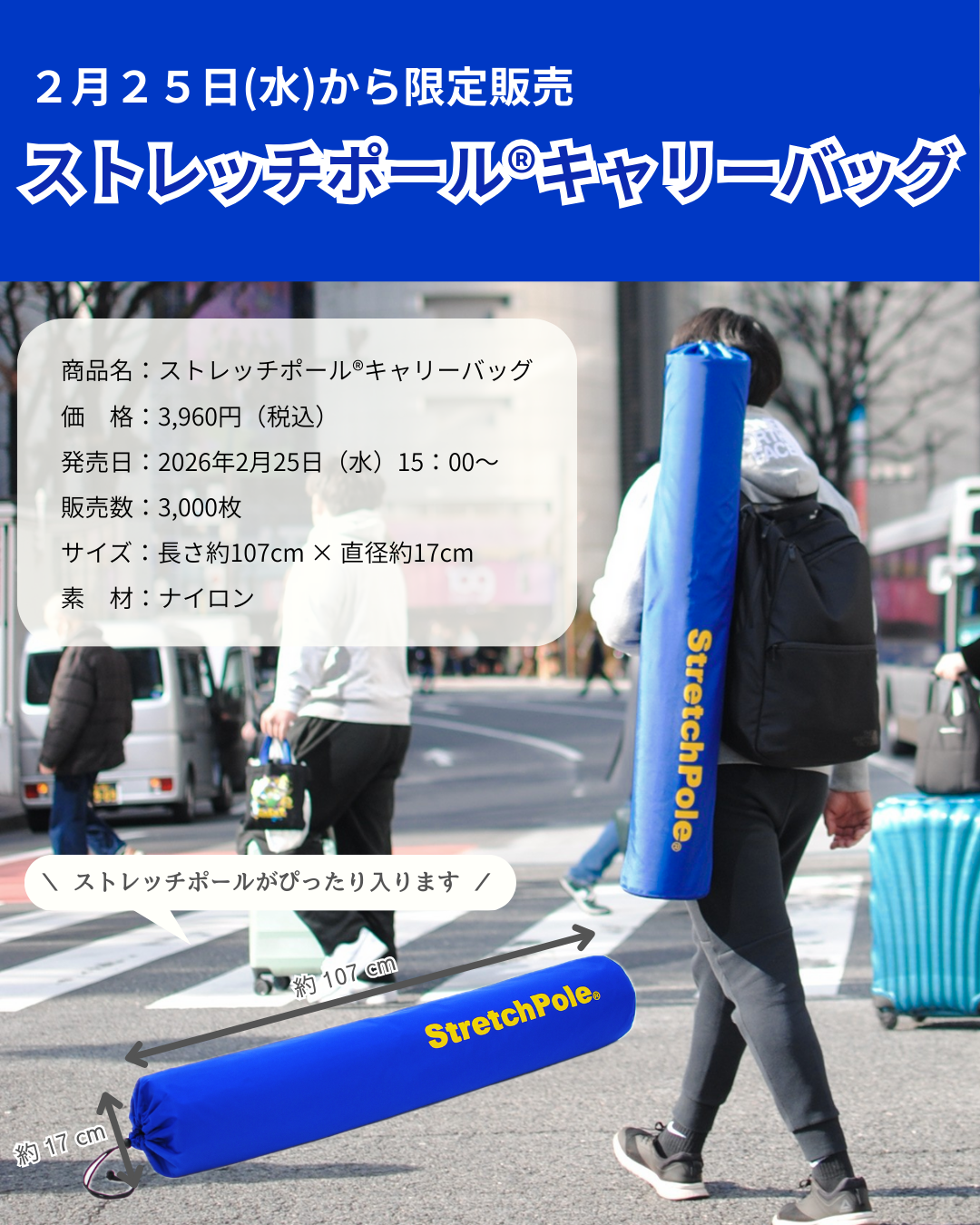 ストレッチポール®キャリーバッグ